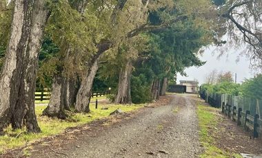 PARCELA URBANIZADA 5000 mt2 A 15 MINUTOS DE OSORNO