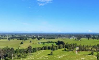 PARCELA URBANIZADA 5000 mt2 A 15 MINUTOS DE OSORNO