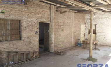 Local - San Miguel