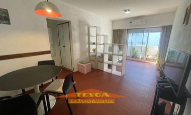 Alquiler por 12 meses, Departamento, monoambiente, Zona Sur Playa