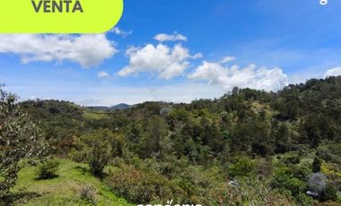 Finca en Venta en el Retiro