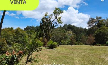 Finca en Venta en el Retiro