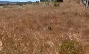 ¡Oportunidad única en Cauquenes!