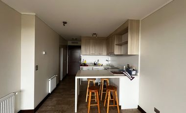 ARRIENDO DEPARTAMENTO 1HAB 1BA VALDIVIA