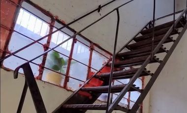 Local comercial en alquiler ubicado en Haedo