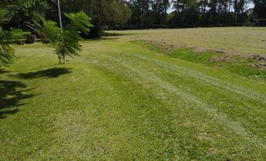 Quinta - Trujui