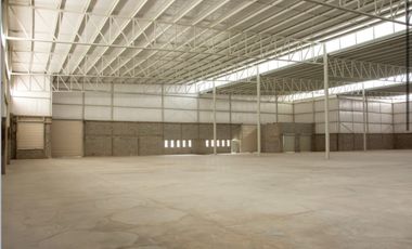 BODEGA INDUSTRIAL EN RENTA | 1,773 M² | TORREÓN, COAH | ANDÉN + ENTRADA A NIVEL
