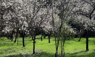 Casa en Venta en cruce bobadilla