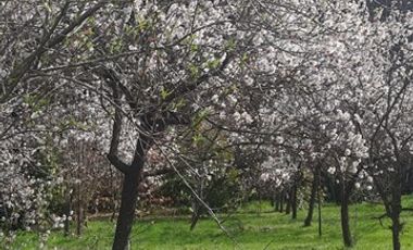Casa en Venta en cruce bobadilla