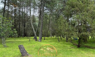 Estupenda Cabaña en Tapalpa, Jalisco. En Venta.