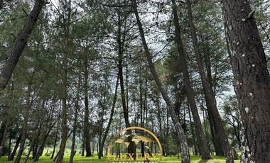 Estupenda Cabaña en Tapalpa, Jalisco. En Venta.