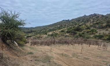 Parcela en venta  en MAULE