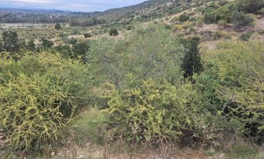 Parcela en venta  en MAULE
