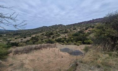 Parcela en venta  en MAULE