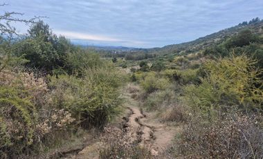 Parcela en venta  en MAULE