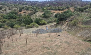Parcela en venta  en MAULE