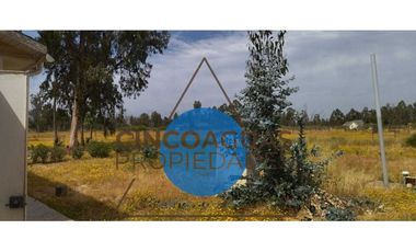 Oportunidad de arriendo en Catapilco Zapallar