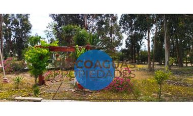 Oportunidad de arriendo en Catapilco Zapallar