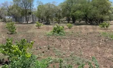 Quinta en venta en El Brasil, Linares, Nuevo León