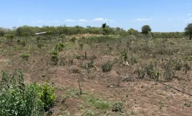 Quinta en venta en El Brasil, Linares, Nuevo León