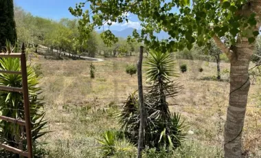 Quinta en venta en El Brasil, Linares, Nuevo León