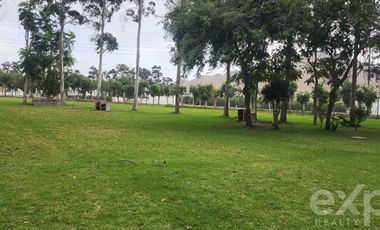 Terreno en CAÑETE