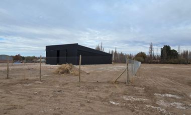 En Alquiler Galpón de 420m2 en lote de 3500m2 sobre calle Trenque Lauquen Neuquén