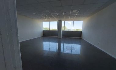 Oficina - Guillermo E Hudson