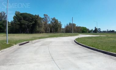 Terreno - Venta - Moreno