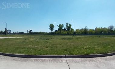 Terreno - Venta - Moreno