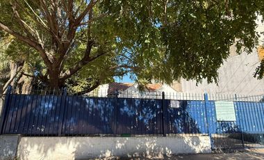 Alquiler de Local comercial