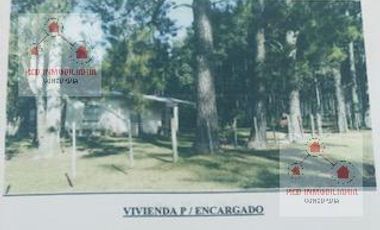 Campo - La Criolla