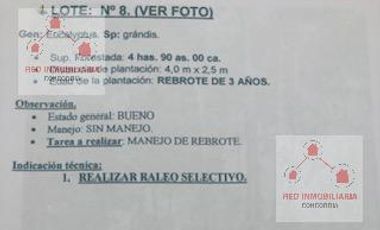 Campo - La Criolla