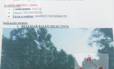Campo - La Criolla