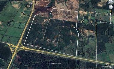Venta Campo de 286ha varios usos en Concordia sobre ruta 14