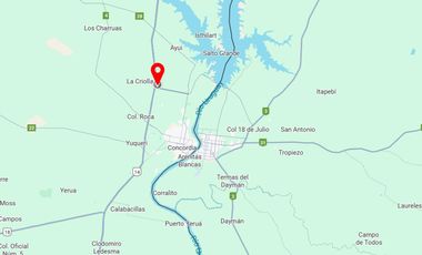 Venta Campo de 286ha varios usos en Concordia sobre ruta 14