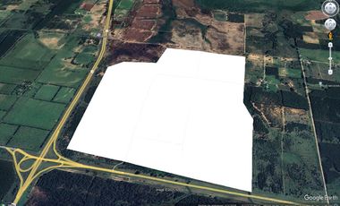 Venta Campo de 286ha varios usos en Concordia sobre ruta 14