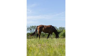 Lote a la venta Club De Campo La Asunción