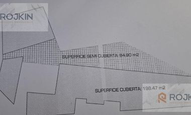 Quinta - Oliveros