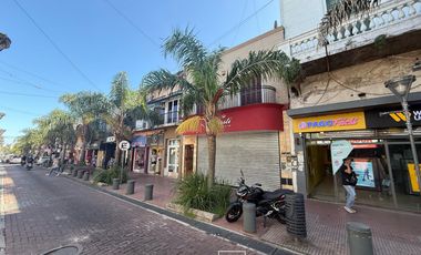 VENTA PROPIEDAD COMERCIAL Y VIVIENDA - SAN FERNANDO