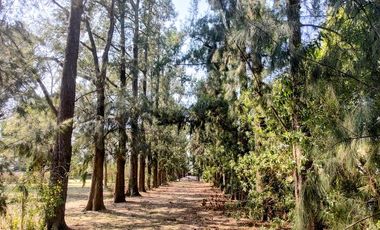 Terreno en venta en La Otilia | VCO Propiedades
