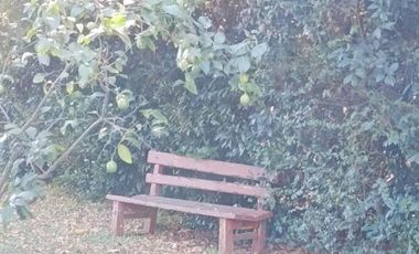 CASA QUINTA VENTA ALEJANDRO KORN PARQUE Y PILETA