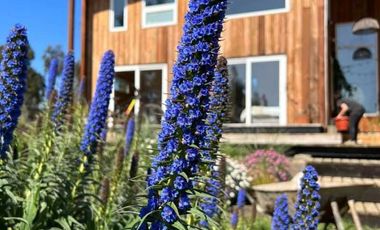 Casa en venta  en PICHILEMU