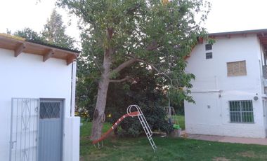 ALQUILER CASA, BATILANA 482, PLOTTIER