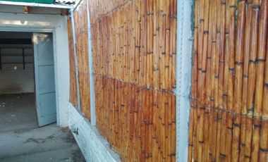 ALQUILER CASA, BATILANA 482, PLOTTIER