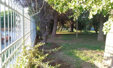 ALQUILER CASA, BATILANA 482, PLOTTIER