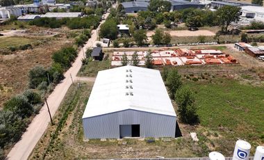 Depósito de 1000 m2 sobre 5.500 de lote