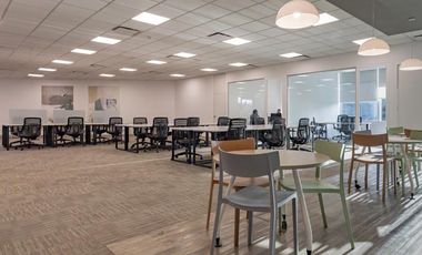 Oficinas AAA en alquiler