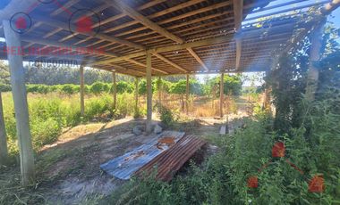 CAMPO EN VENTA, BUENOS ACCESOS, CERCA DE PUEBLO LA CRIOLLA
