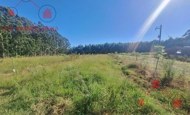 CAMPO EN VENTA, BUENOS ACCESOS, CERCA DE PUEBLO LA CRIOLLA